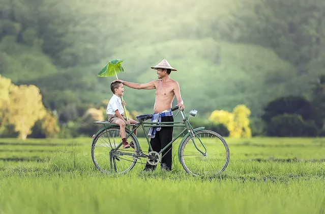 The Beautiful world