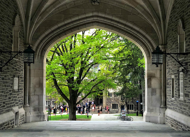 university-students