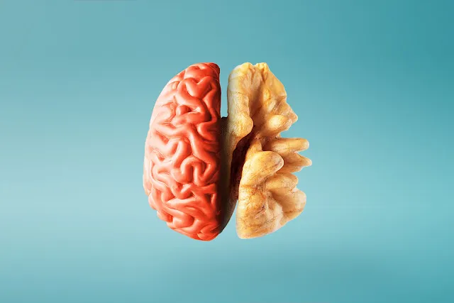 Nourishing Minds: The Impact of Junk Food on Students’ Psychological Health and Academic Performance